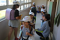 Img_8178 Img_8178