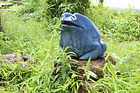 Img_8215 Img_8215