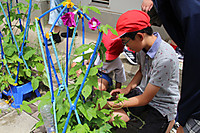 Img_8776 Img_8776