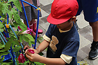 Img_8778 Img_8778