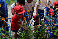 Img_8779 Img_8779