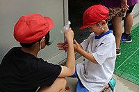Img_8781 Img_8781