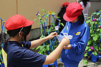 Img_8783 Img_8783