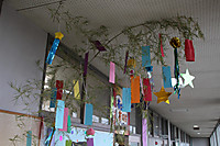 Img_8785 Img_8785
