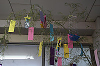 Img_8790 Img_8790