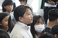 Img_8856