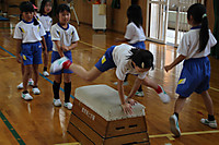 Img_9117 Img_9117
