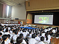 Simg_0929