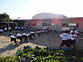 Dsc09451