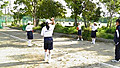 Softball