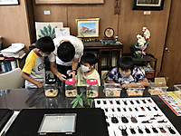 0f912876f98a42059fa05a7739e9c2b0