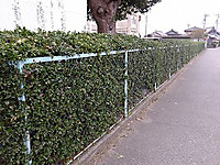 Imgp0162