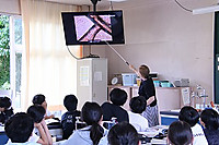 Img_0751 Img_0751