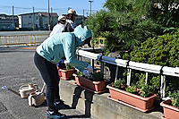 Sdsc_5142 Sdsc_5142