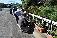 Sdsc_5145 Sdsc_5145