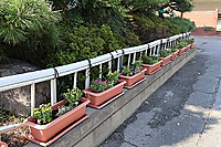 Simg_1859 Simg_1859