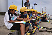 Img_5423 Img_5423