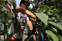 Img_6148_2 Img_6148_2