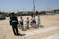 Img_3949 Img_3949