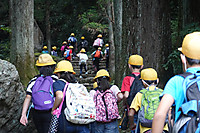 3858c3f8a81e4a20ad3a05dac44c3618