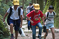 A909d3c9b4ee4e9eb3cc180024f5f840