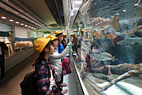 16ed83ae100849efa8f70181b51b0747