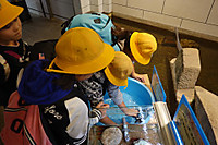 1b42c05ae67f413db04e54891d59b929