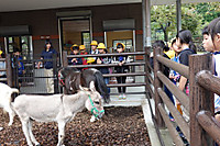 2714f470af4b4b769cc3613363f7467b