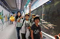 49f5663c15cc4c0785338b3cc062ebcc