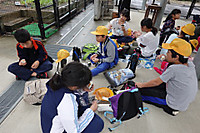 A9d59f206cf7438fb63a2a17bca52e03