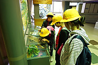 Caabc5f5a6c9476cb08f82ac013e07f8