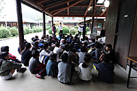 F1d1a68b707e4fa0bf5332e52524ef1b