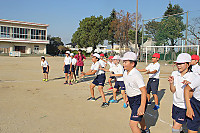 Img_8038 Img_8038