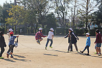 Img_9637 Img_9637