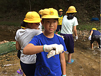 032e5be1c49f4406bcf93e6b824ef094