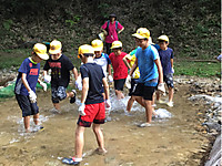 1c8a2f0bf94c44b99582cd82ce7794f5