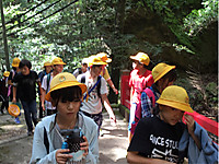 3bb7c7ba31e345998a8855da8b2f8eac