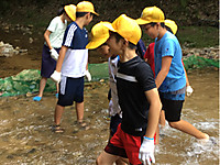 453b862ef6cd4808b74f6693c547d9f2