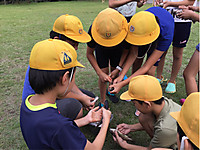 46360f275ab54f0683222fa1fba55f86