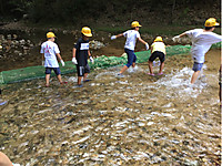 51cdc9b7bbae459faa2c3c0f3afcd8e1