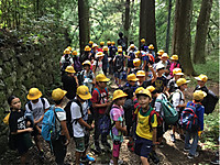 5cedecd1146842508beeb7ba05292b85