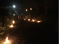 70a3582b53b5454ca5e28713790ac227