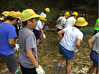 7824ba83d47d4bd4a66c1a0914ffc772