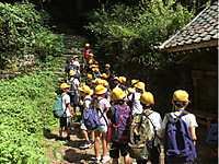 81243ce028bc4e5a911ecf00a6461c82