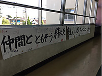 8c33b09544514856a910550167fe89e5