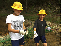 96fd1700445c497c8c6b45f29f24f03f