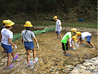 C2daa8de008a4777a7dcfa89a13c3af6