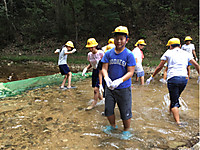 Ec7089e04f634c57a114a4e8728f8a4c