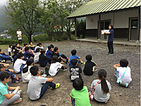 D29eee87b926492fb0b21d8d42ebb502