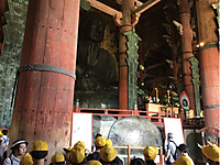 35a6867b74c54f70a8f9c5e8d3ad2bcd